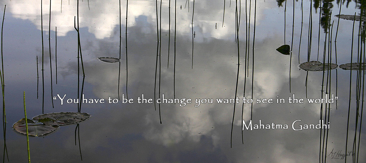"You have to be the change you want to see in the world" Mahatma Gandhi