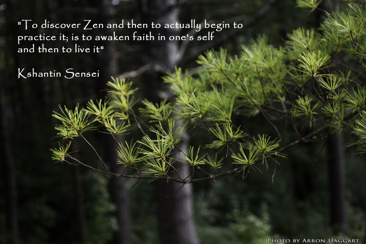 "To discover Zen and then to actually begin to practice it; is to awaken faith in one's self and then to live it" - Kshantin Sensei
